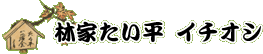 林家たい平　イチオシ